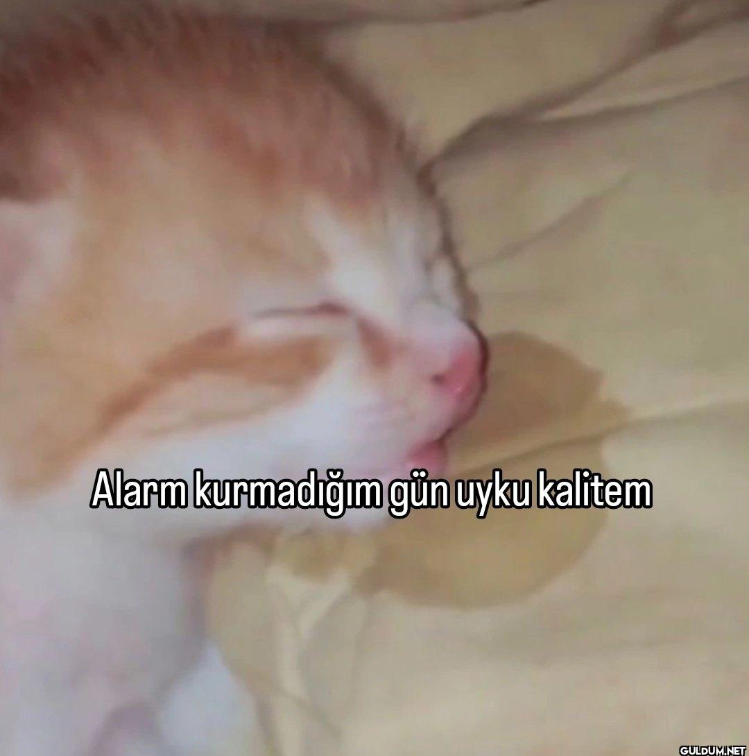 Alarm kurmadığım gün uyku kalitem
