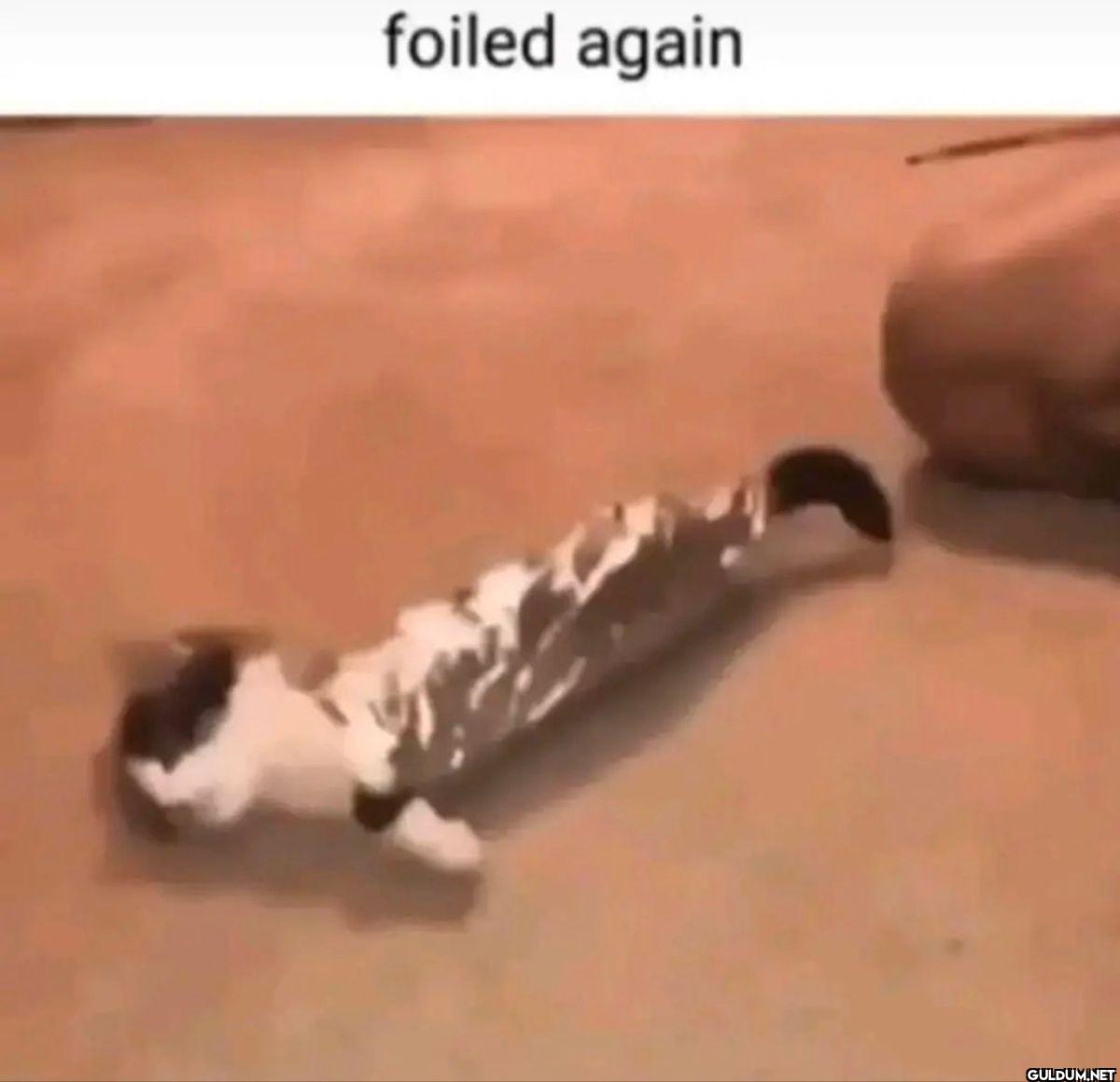 foiled again