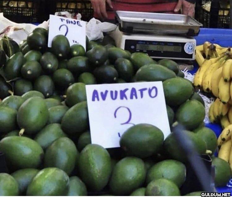 ΤΗΝΕ ΑνυΚΑΤΟ 2