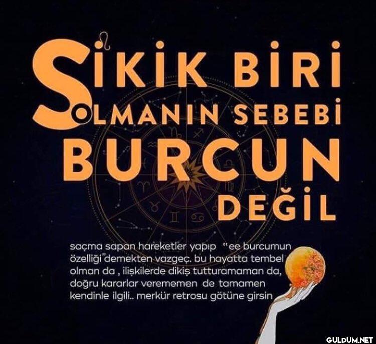 SİKİK BİRİ OLMANIN SEBEBİ...