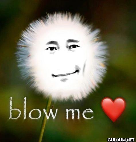 blow me
