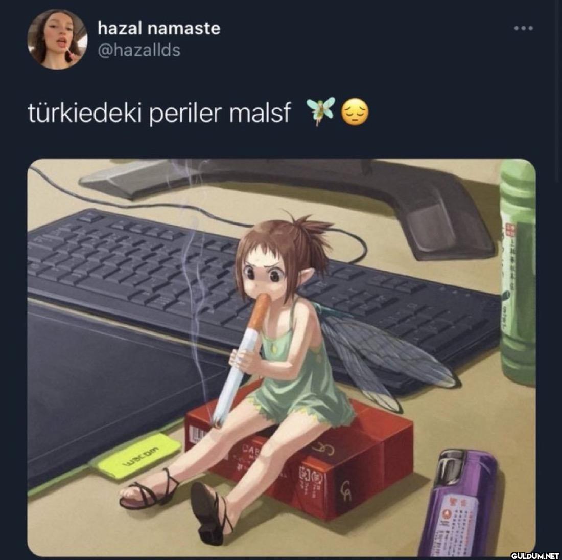 türkiedeki periler malsf * Wacom ]]