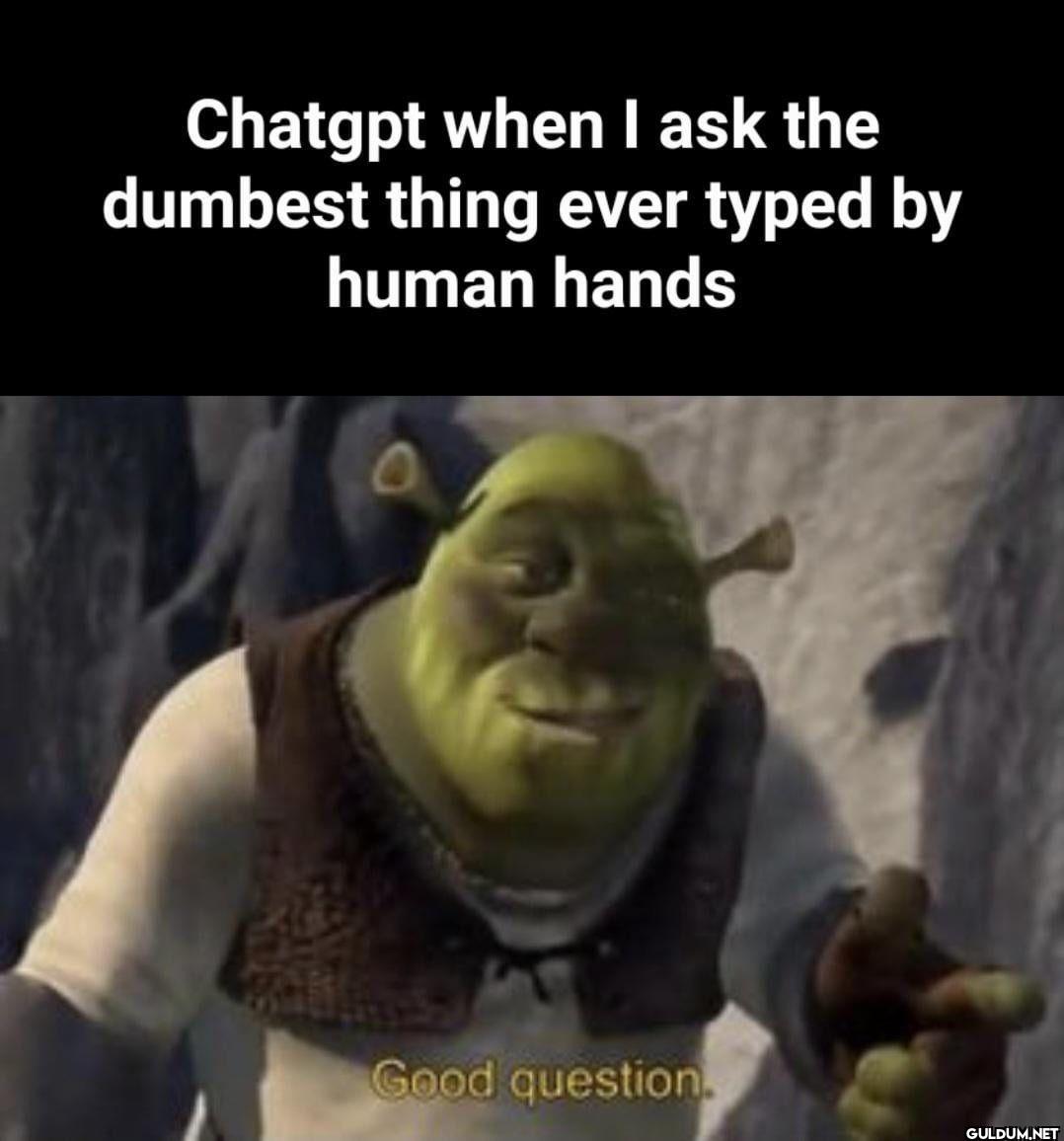 Chatgpt when I ask the...