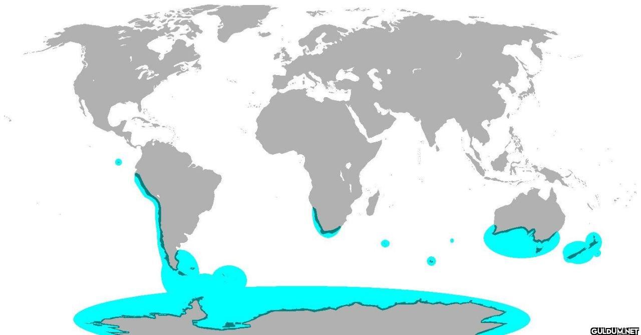 10. Global distribution of penguins