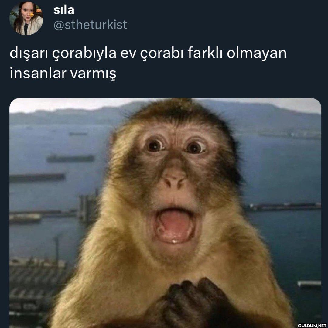 dışarı çorabıyla ev çorabı...