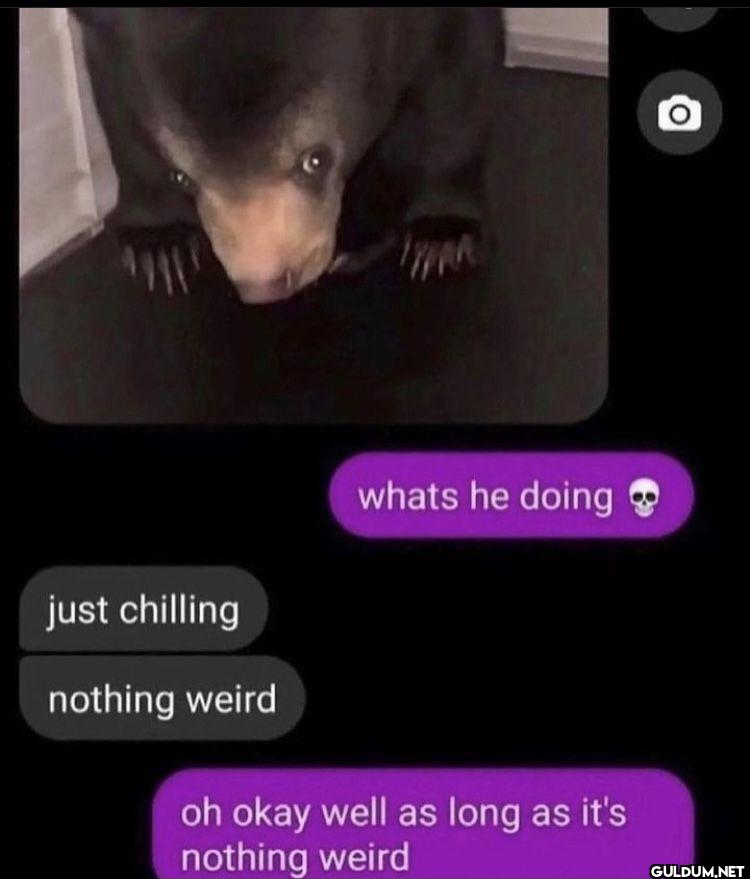 whats he doing just...