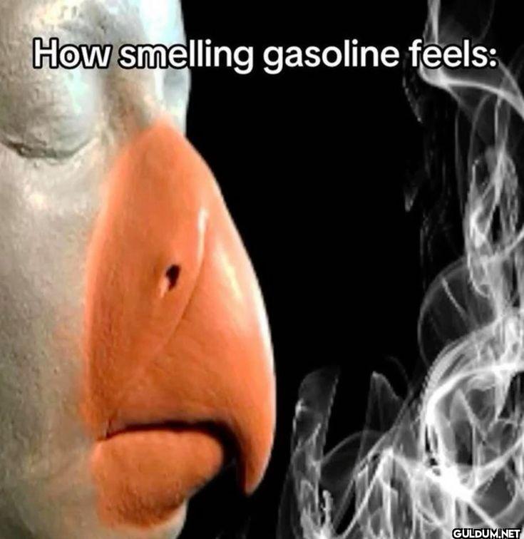 How smelling gasoline feels