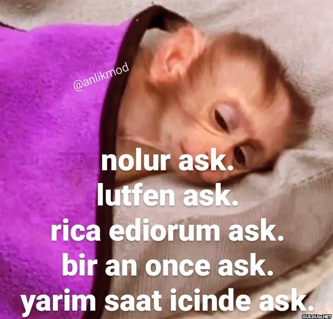 nolur ask. lutfen ask....