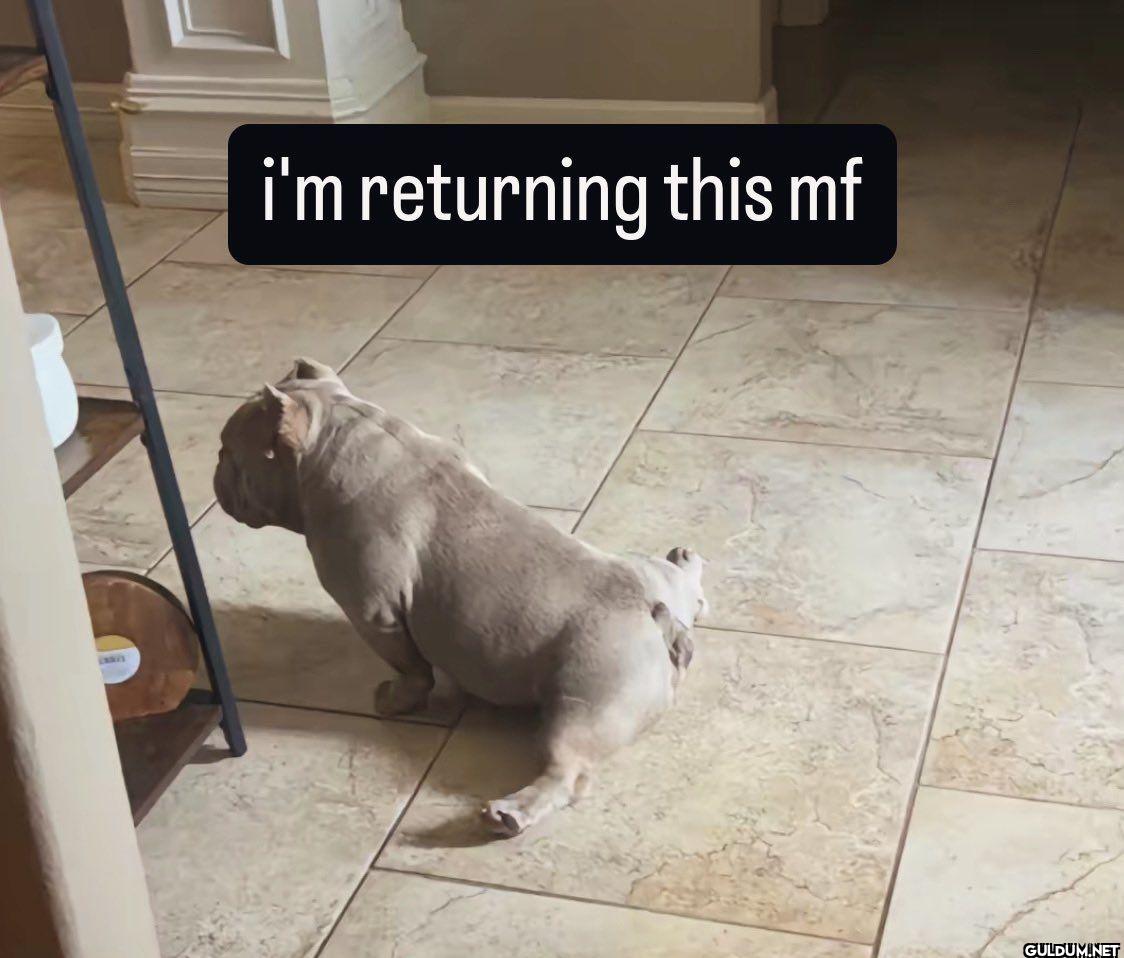 i'm returning this mf