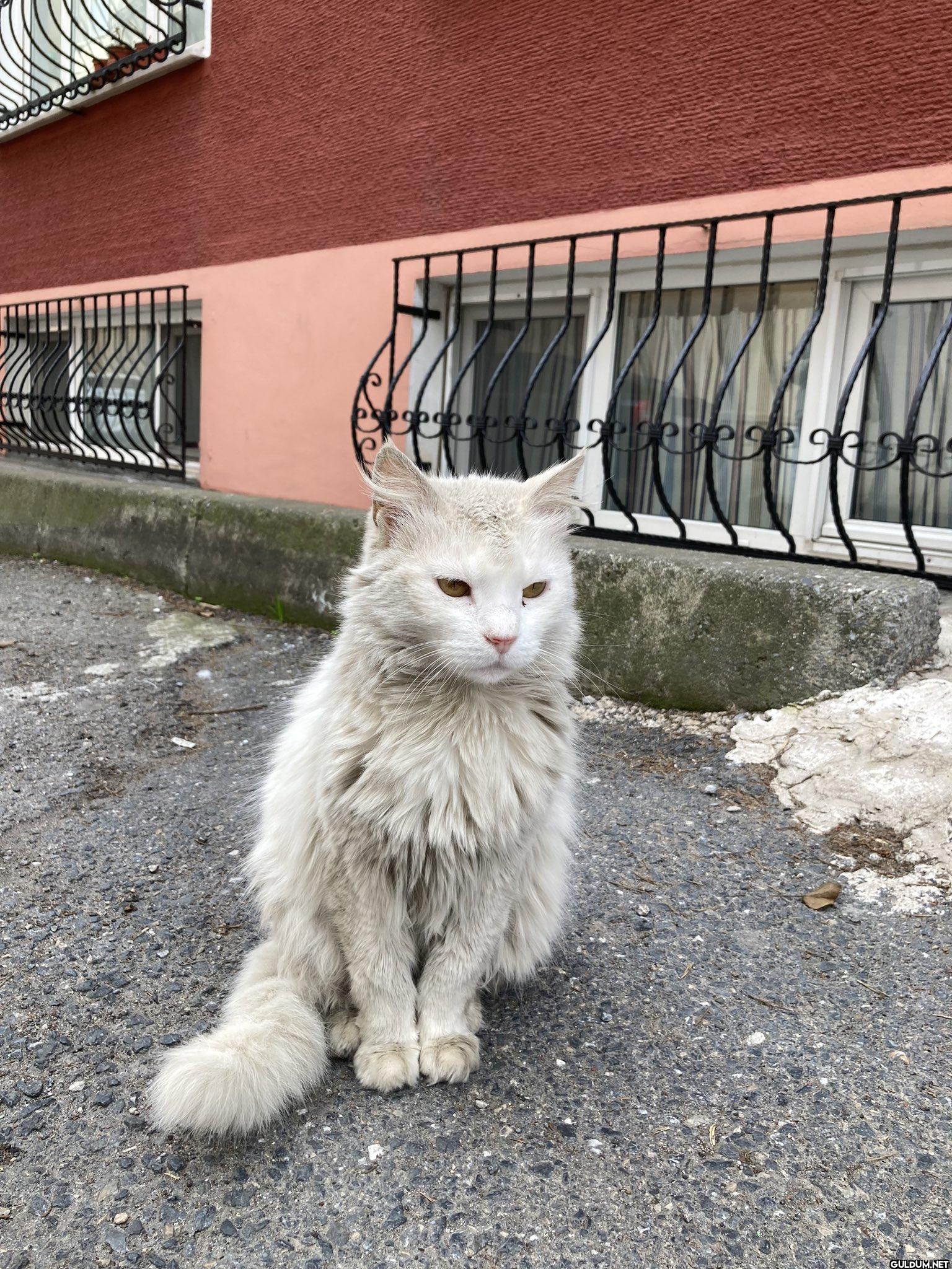 yolda yürürkene karşıma...