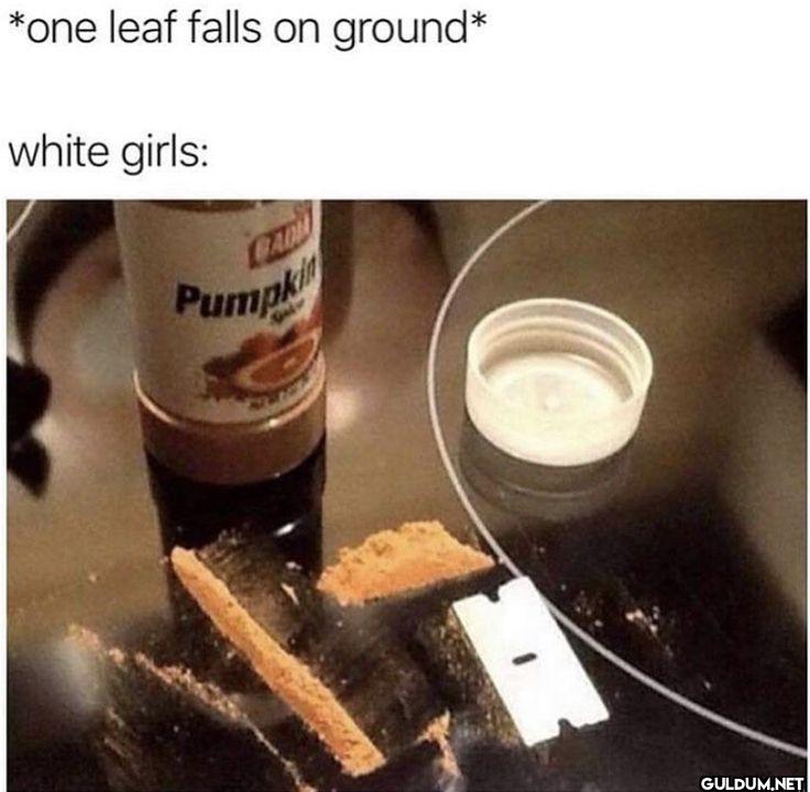 *one leaf falls on ground*...