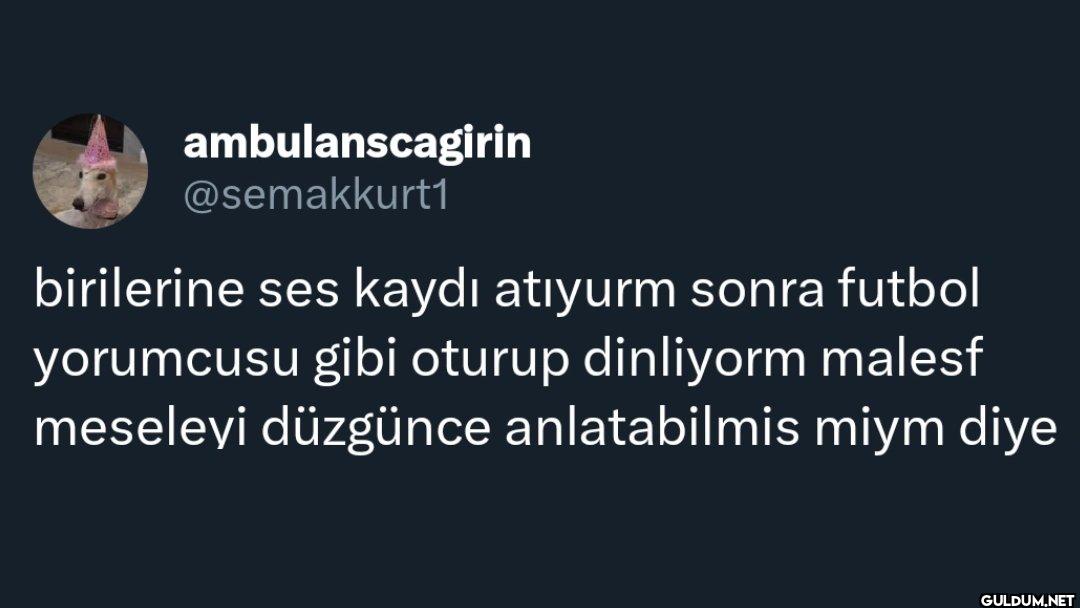 birilerine ses kaydı...