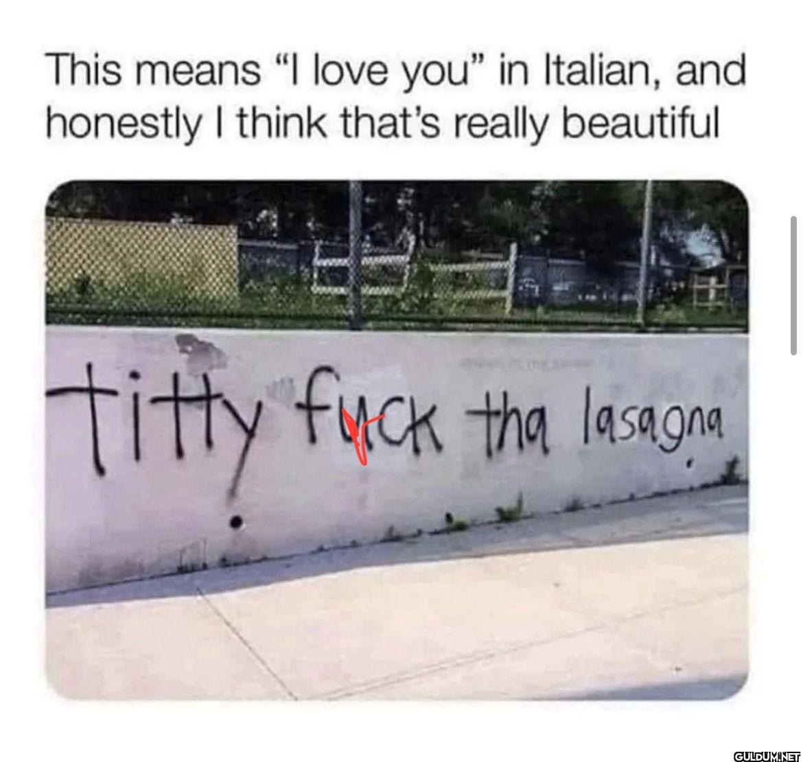 This means "I love you" in...