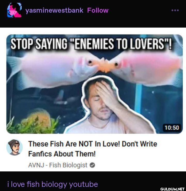 yasminewestbank STOP...