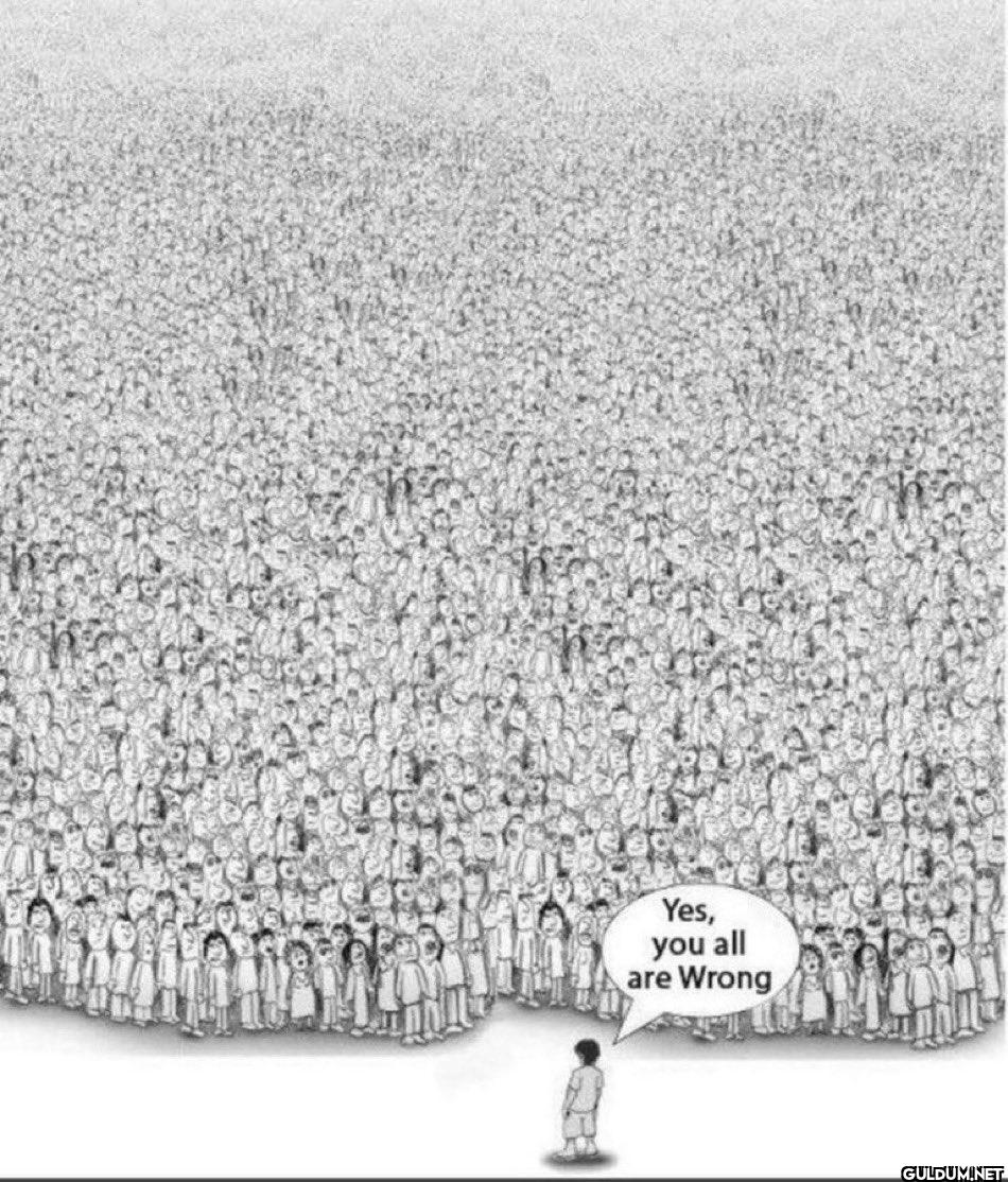 what opinion will you...