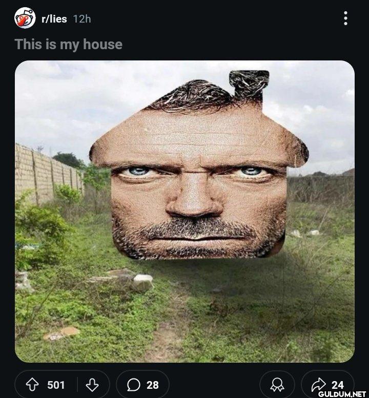 ㅤ    r/lies 12h This is my...