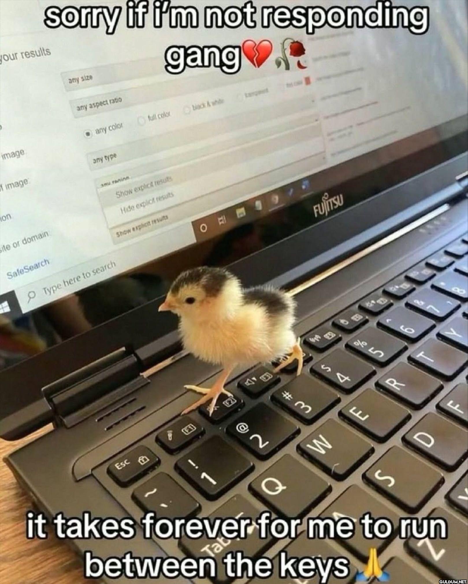 sorry if i'm not...