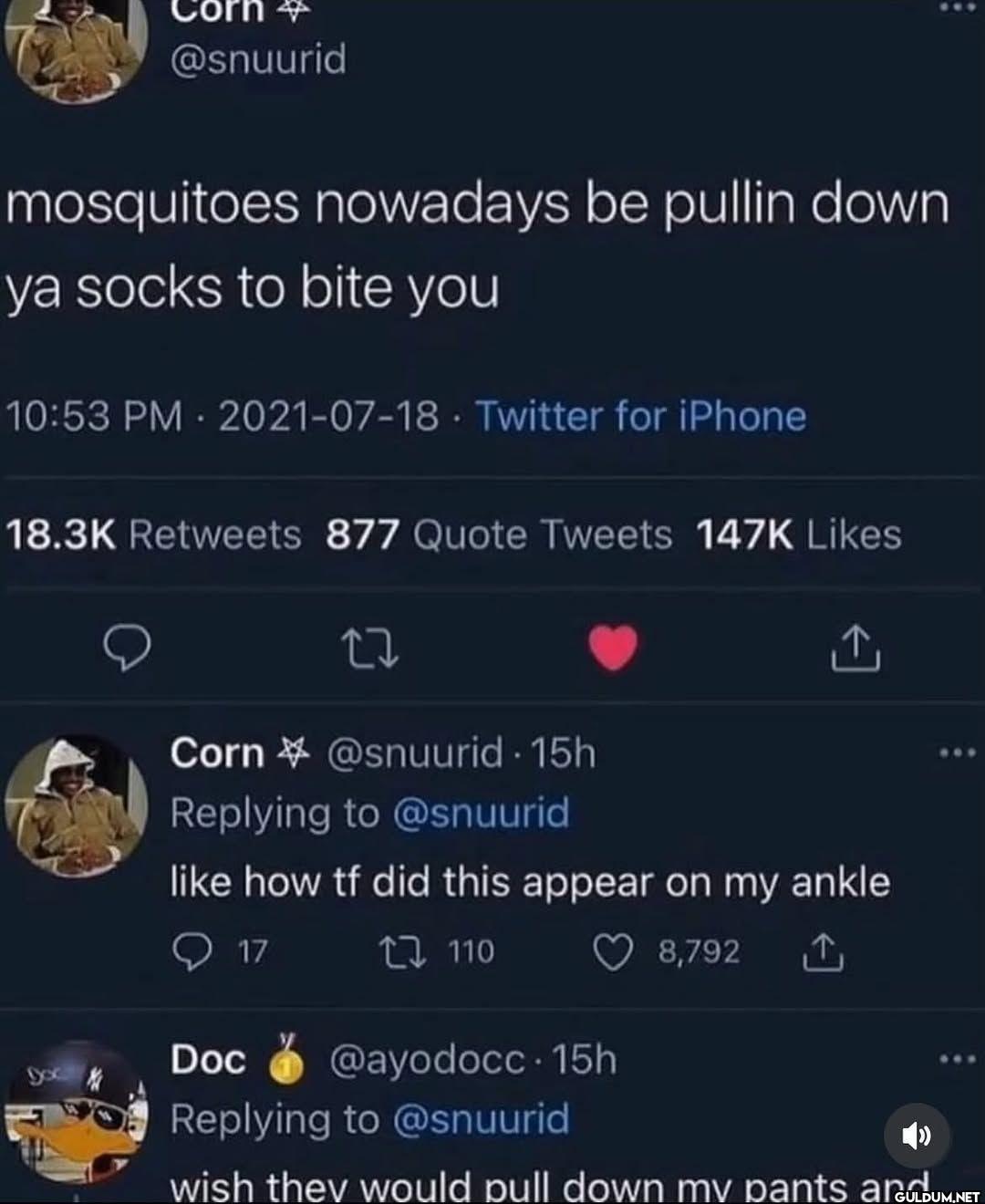 mosquitoes nowadays be...