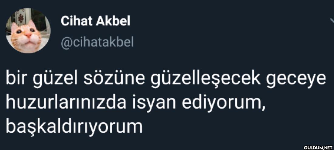 bir güzel sözüne...