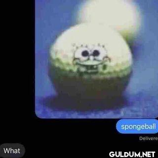 spongebob Delivered What