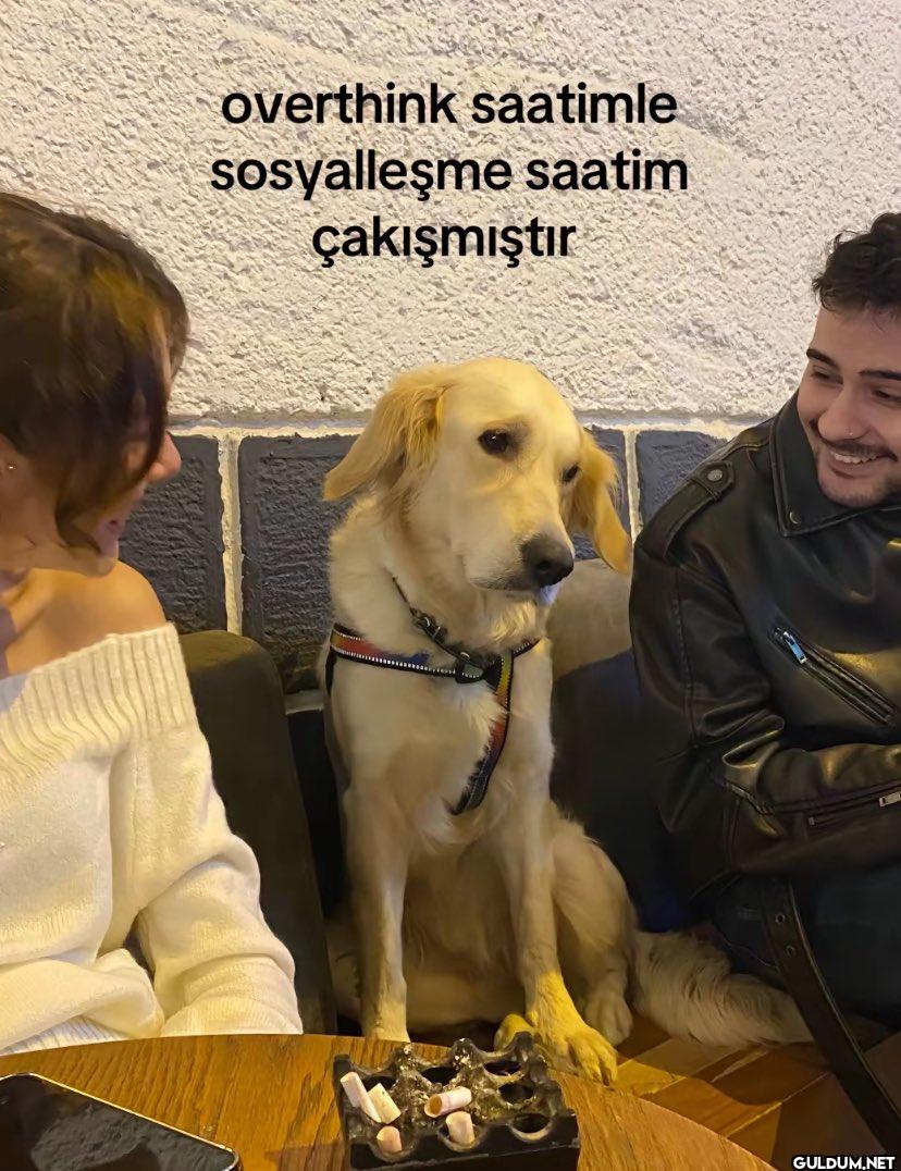 overthink saatimle...