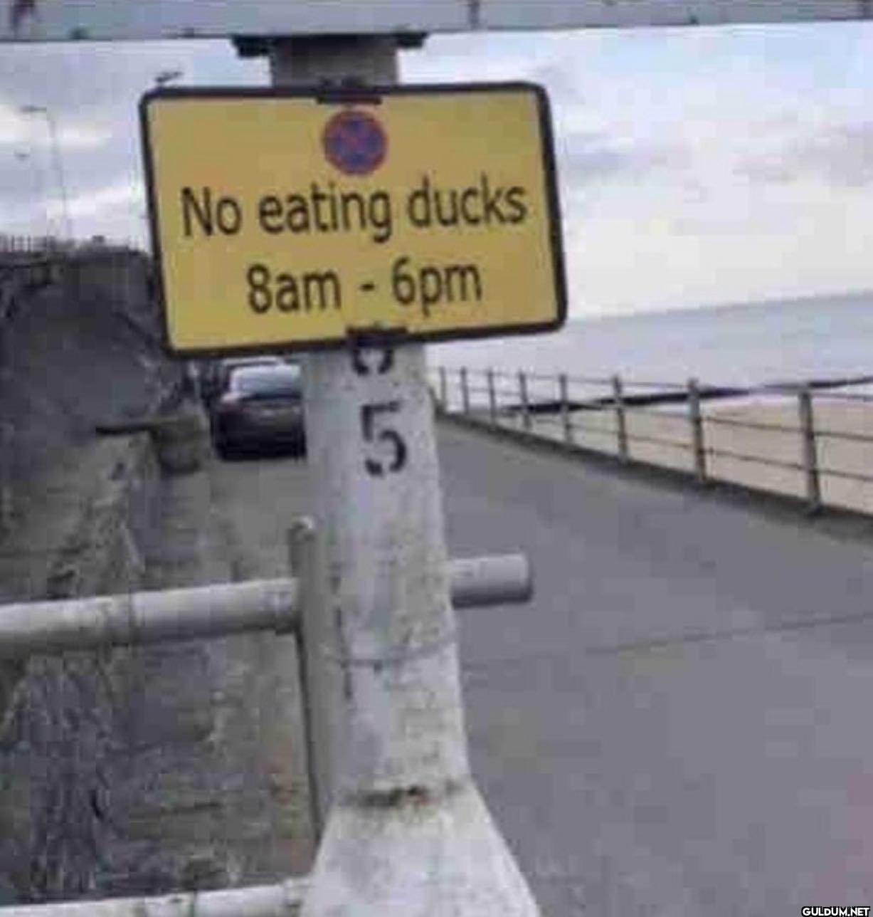 No eating ducks 8am - 6pm