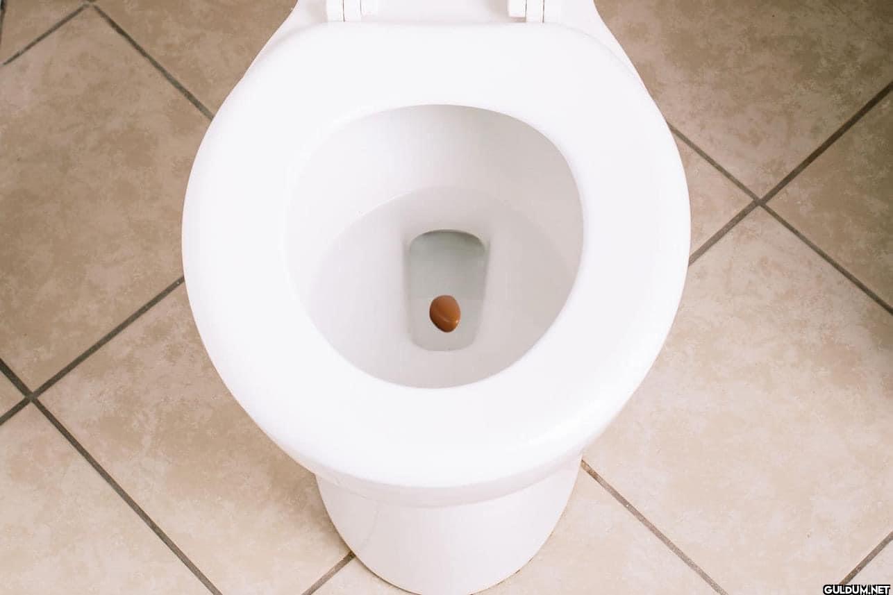 U ever be on the toilet...