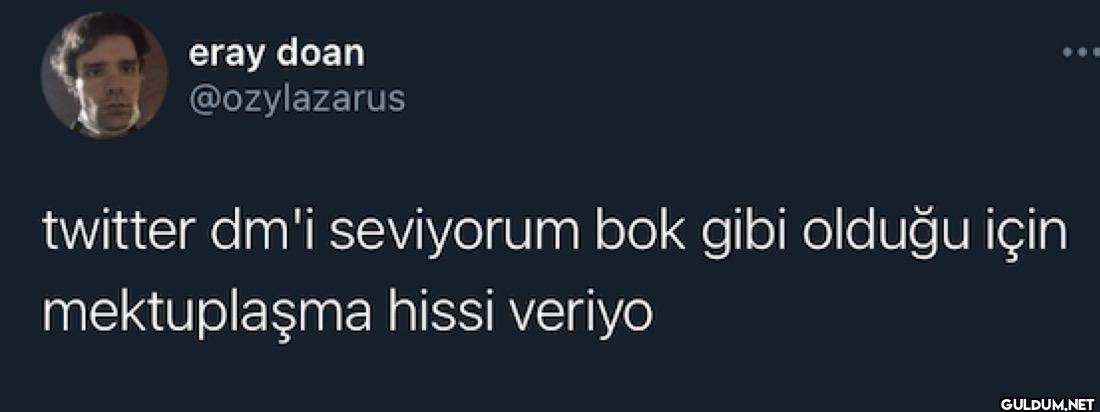 twitter dm'i seviyorum bok...