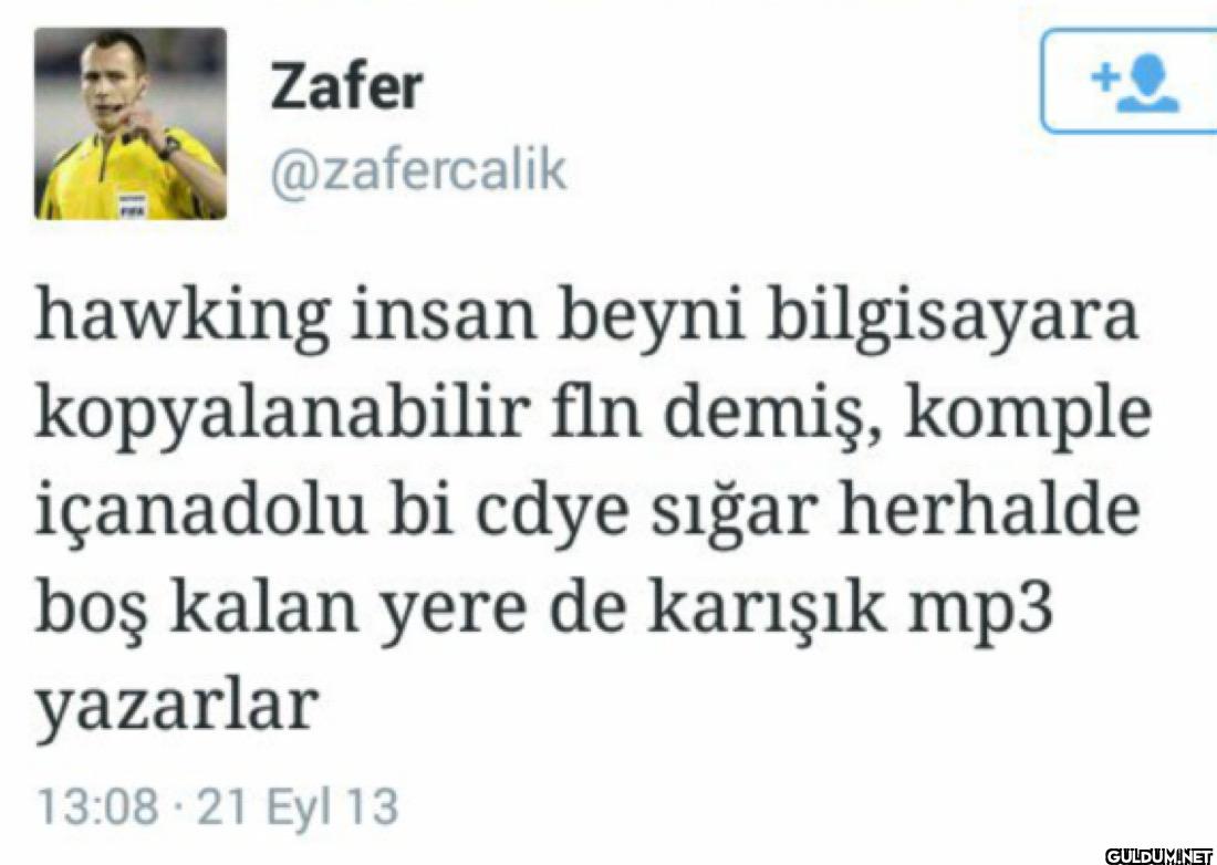 hawking insan beyni...
