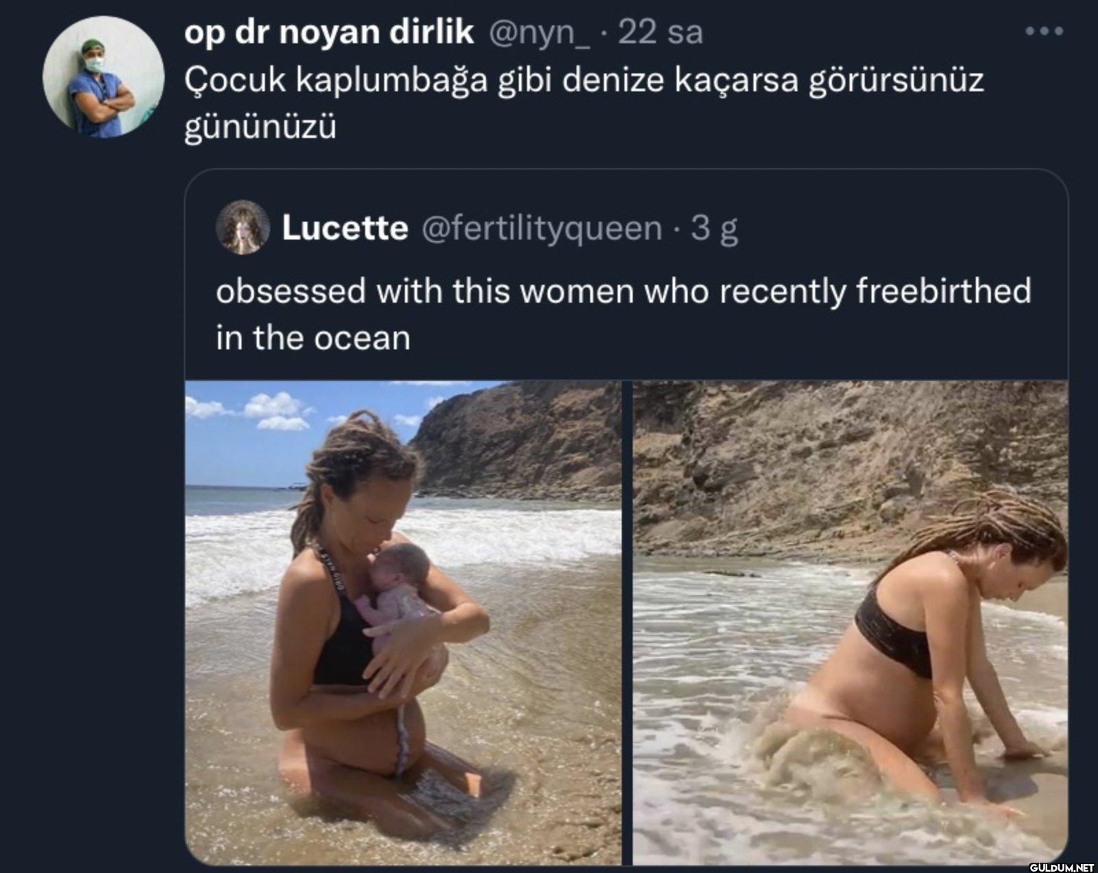 · 22 sa Çocuk kaplumbağa...