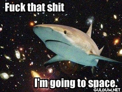 Fuck that shit I'm going to space.