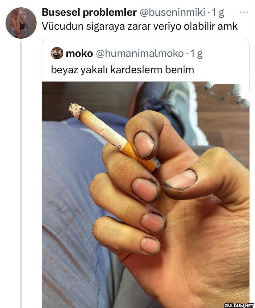 · 1 g Vücudun sigaraya...