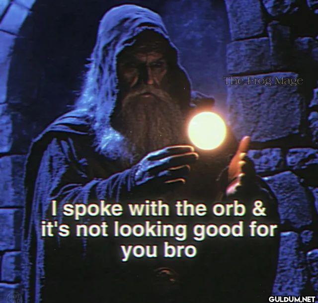 The Frog Mage I spoke with...