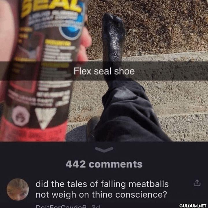 Flex seal shoe 442...