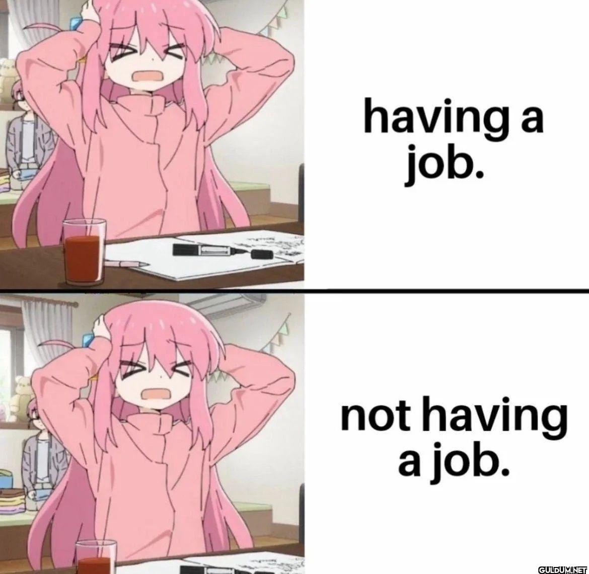 having a job. not having a job.