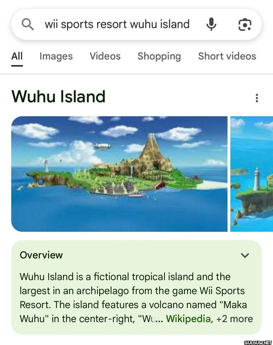 wii sports resort wuhu...