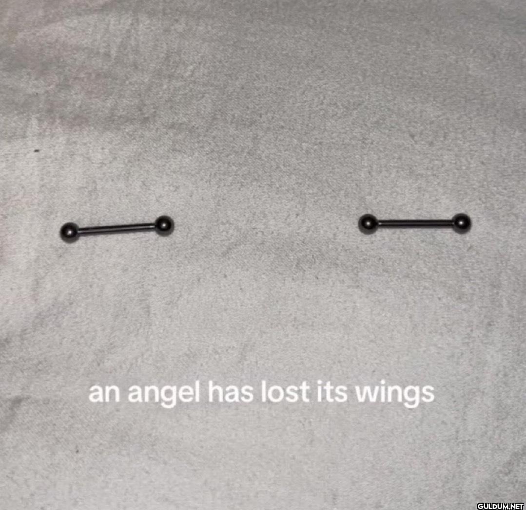 an angel has lost its wings
