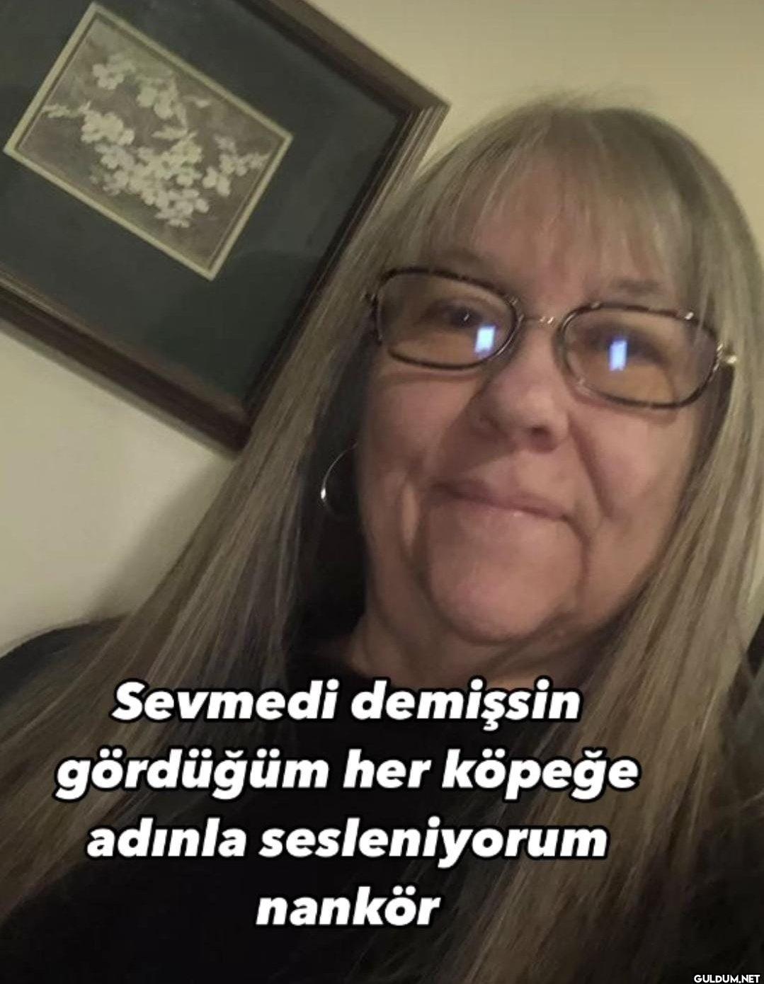 Sevmedi demişsin gördüğüm...