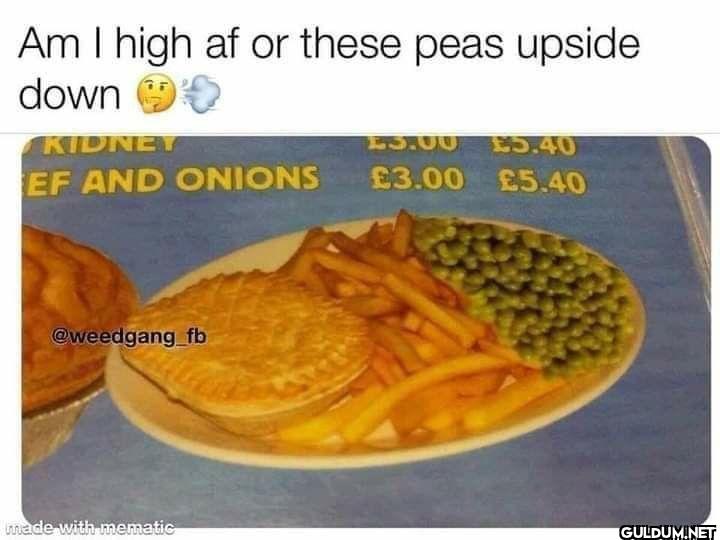 both    Am I high af or...