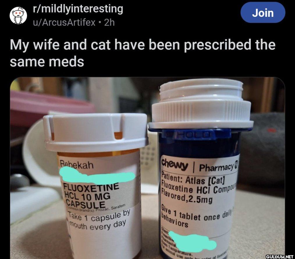r/mildlyinteresting...