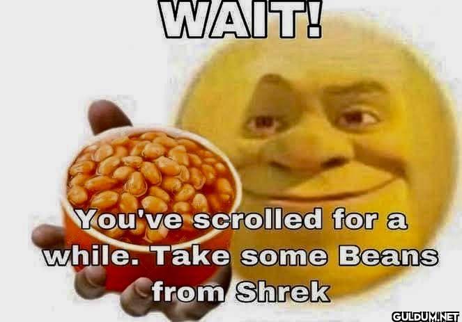 WAIT! You've scrolled for...