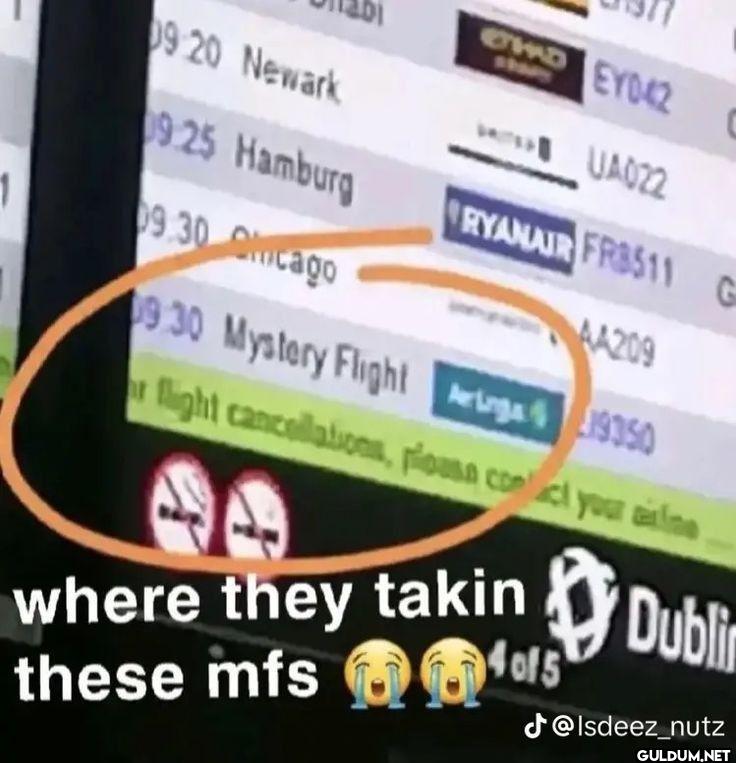 Newark Hamburg Chicago...