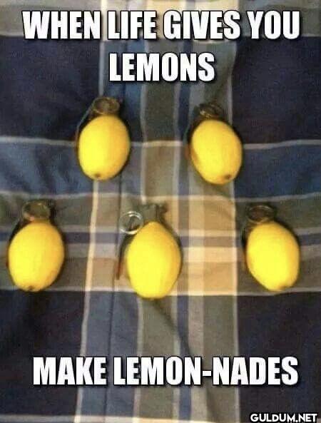 WHEN LIFE GIVES YOU LEMONS...