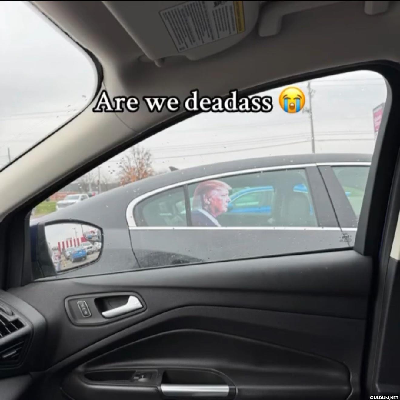 周 Are we deadass