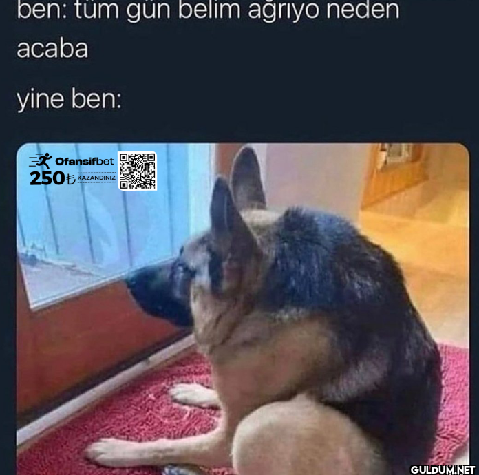 ben: tüm gün belim ağrıyo...