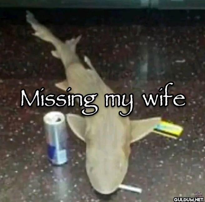 Missing my wife
