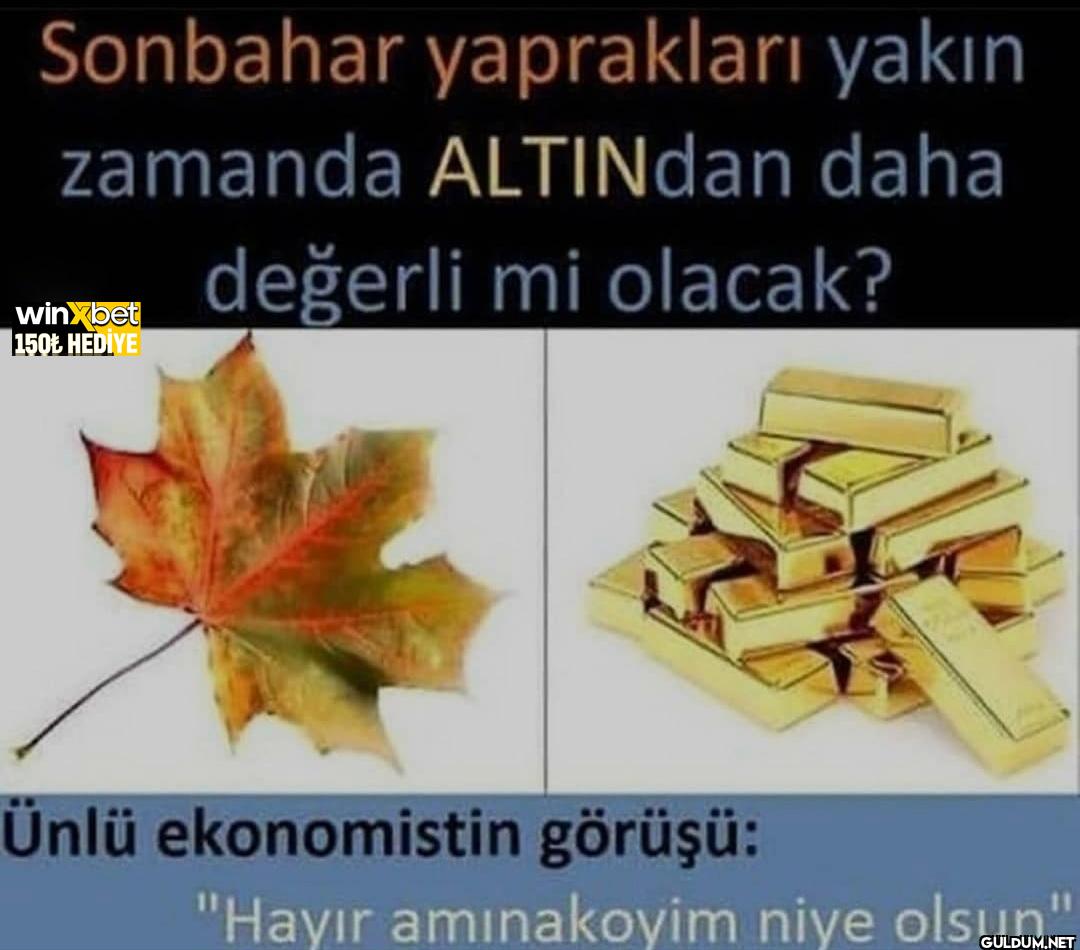 Sonbahar yaprakları yakın...