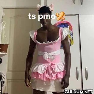 ts pmc