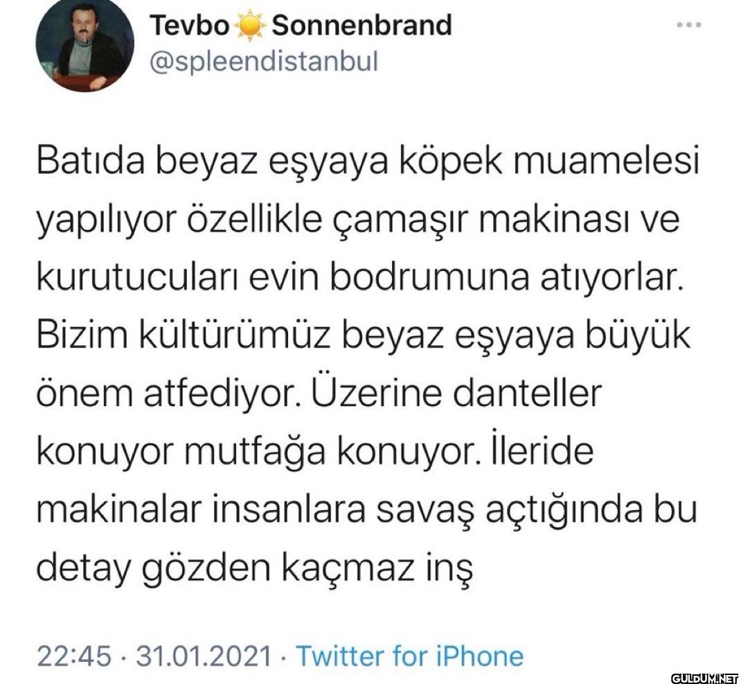 Batida beyaz eşyaya köpek...