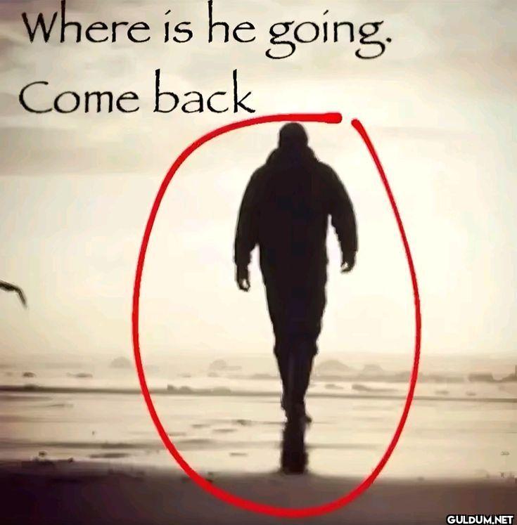 Where is he going. Come back
